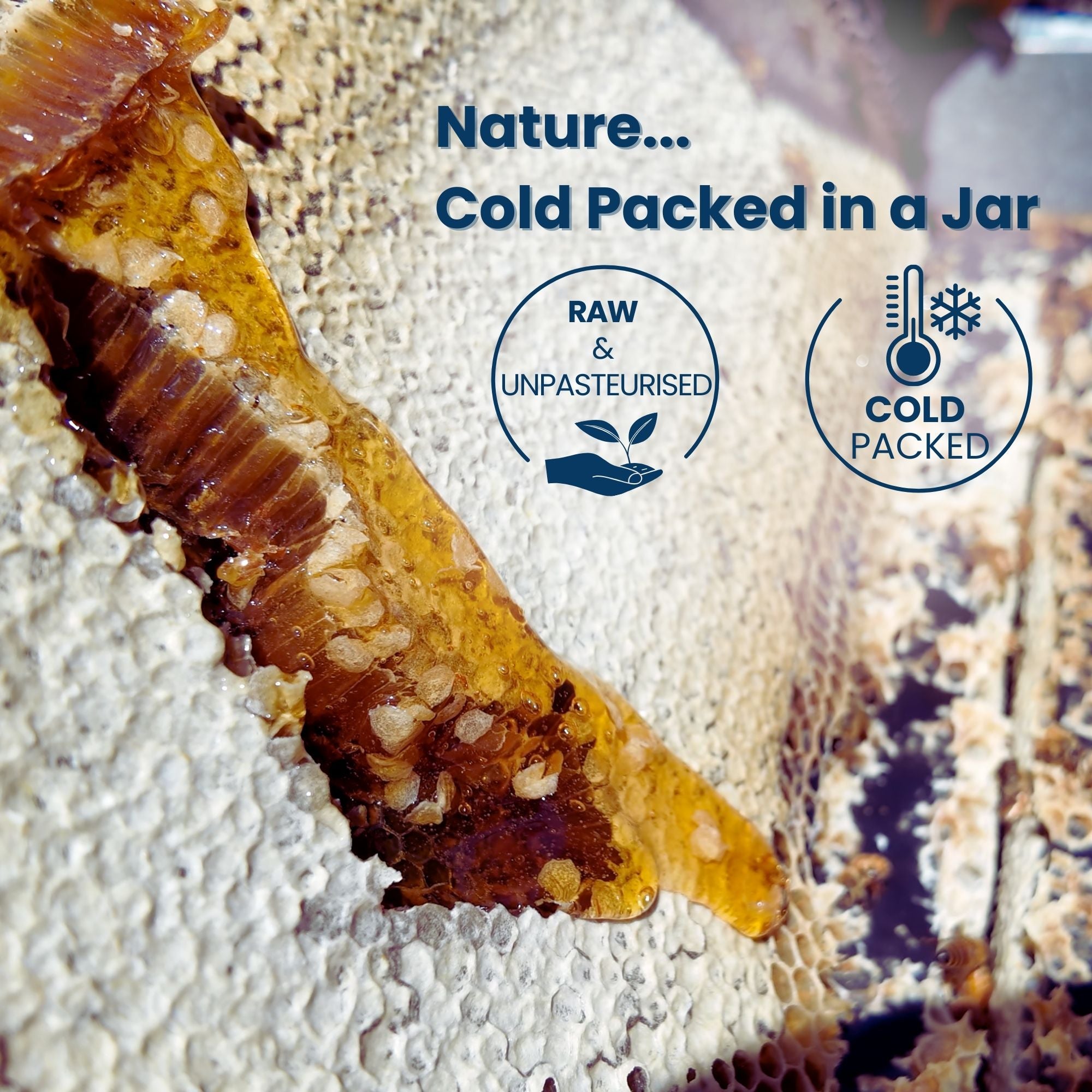 MGO 300+ NZ Raw Manuka Honey - 8.8oz (250g)