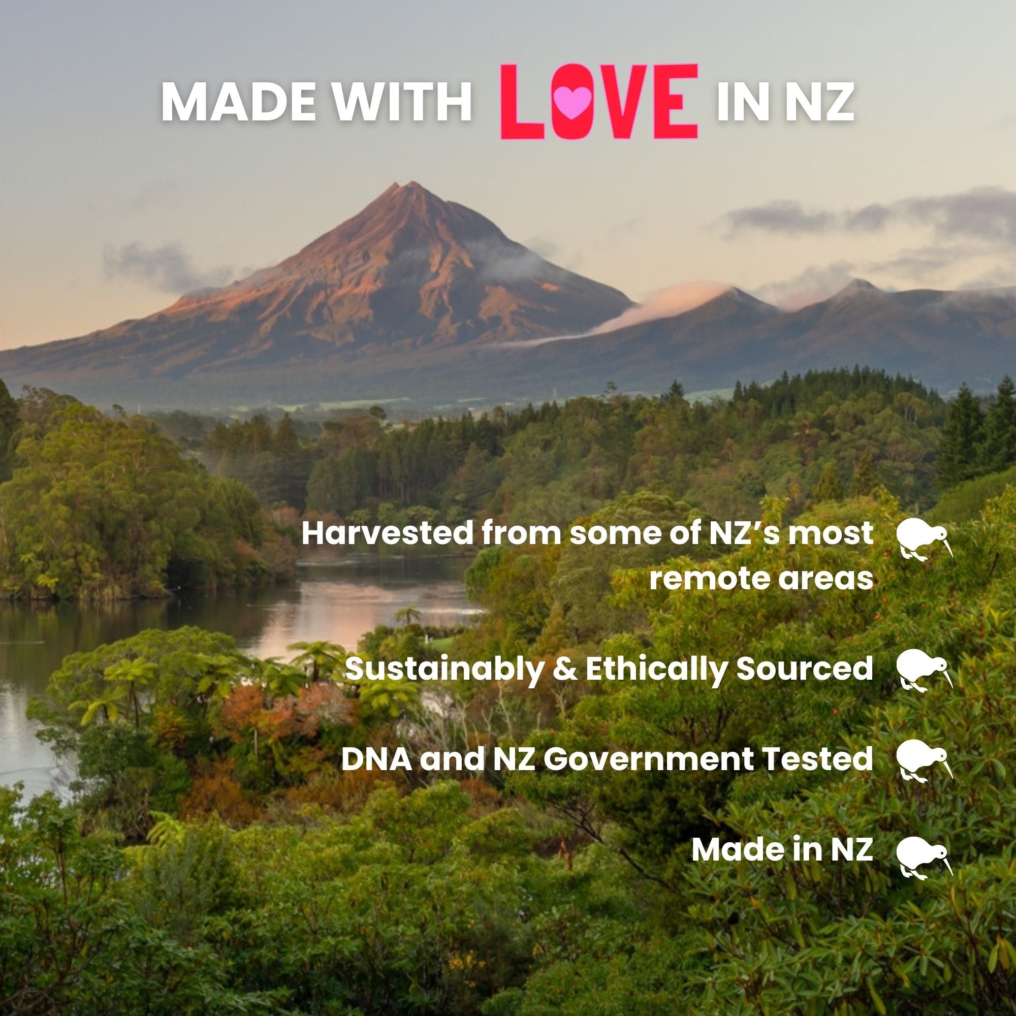 Miel de Manuka cruda MGO 300+ NZ: pura, certificada, sin OGM ni aerosoles (250 g/8,8 oz)