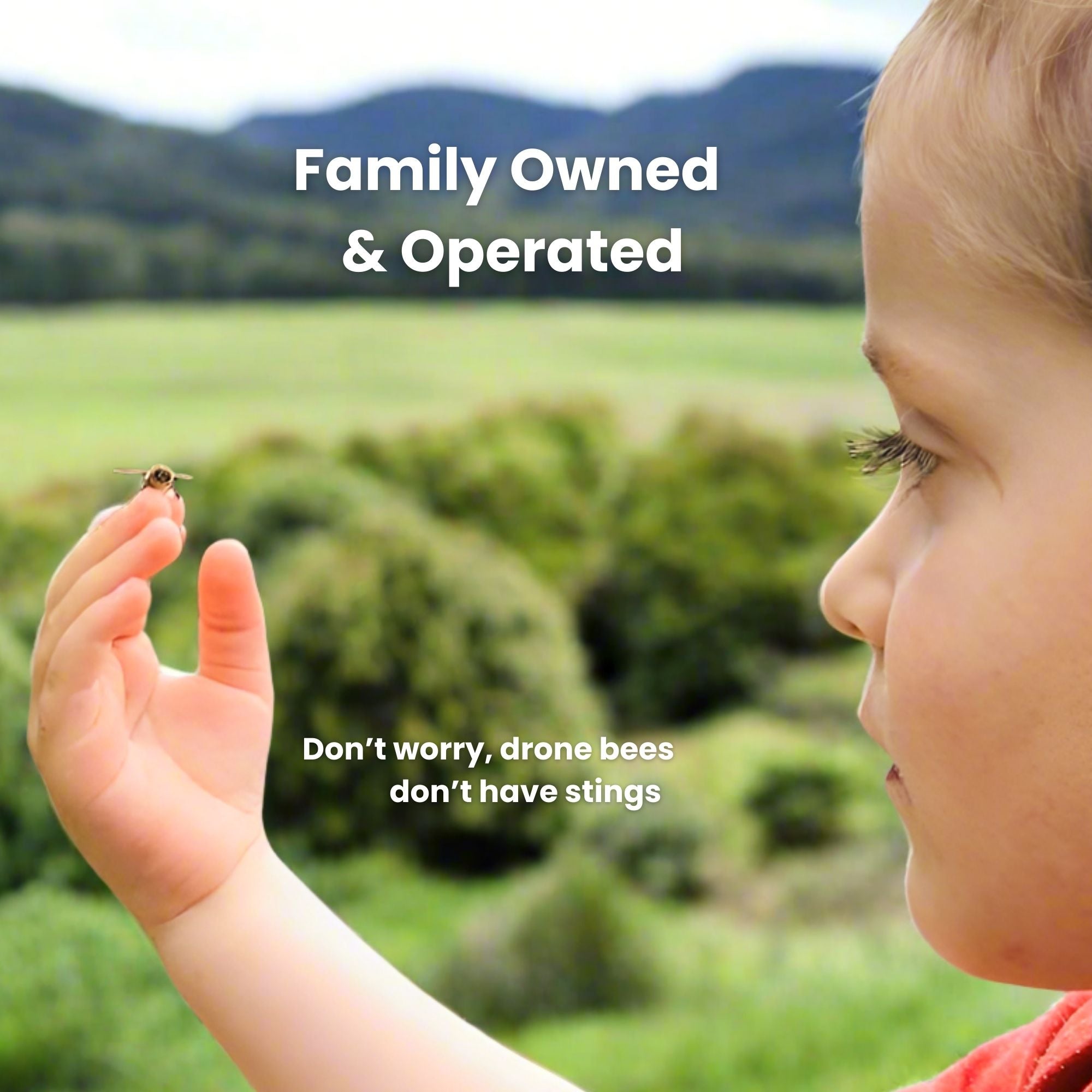 MGO 300+ NZ Raw Manuka Honey - 8.8oz (250g)