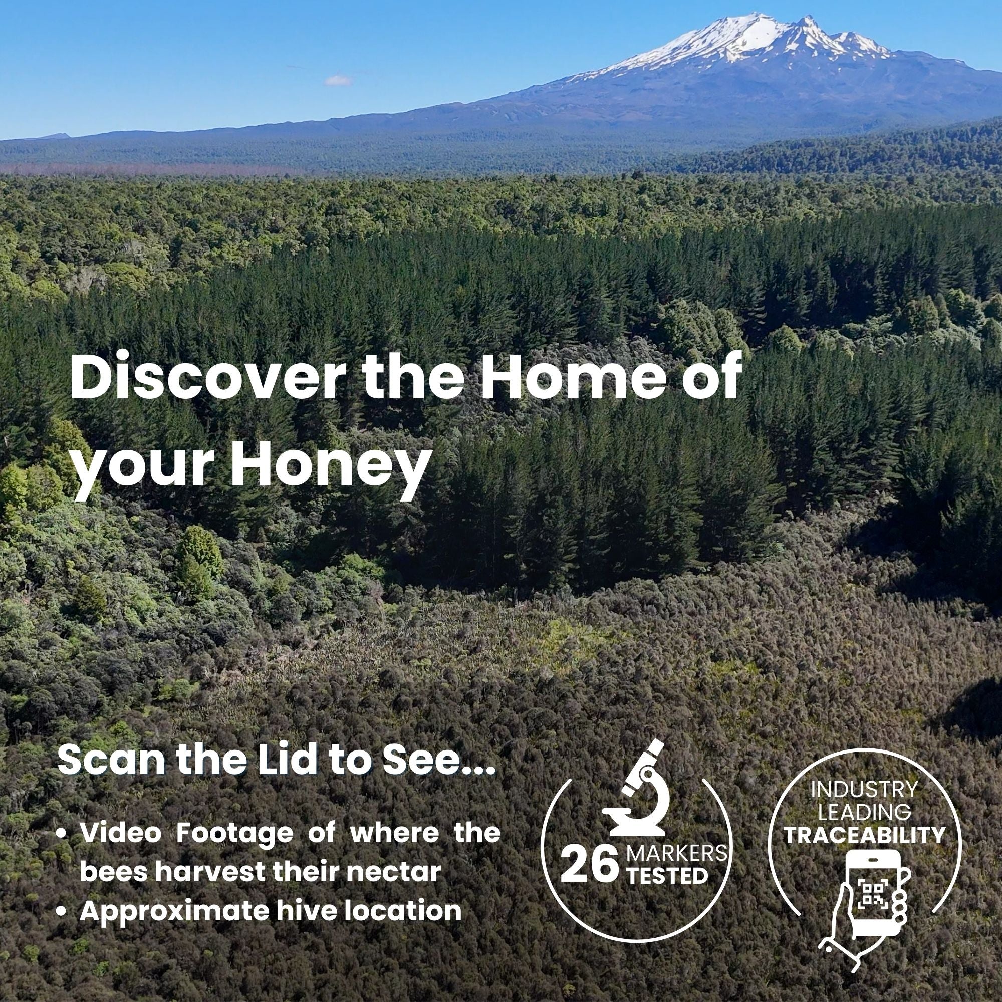 MGO 300+ NZ Raw Manuka Honey - 8.8oz (250g)