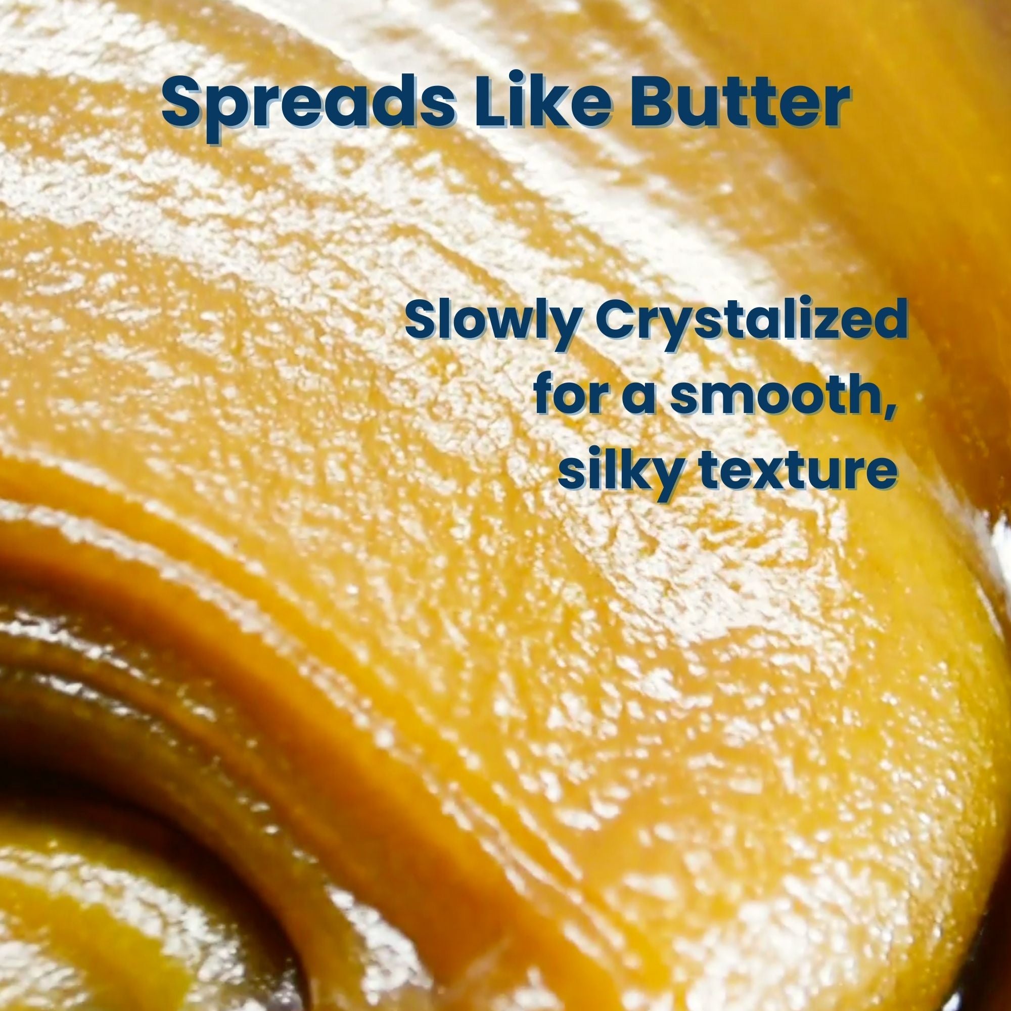 MGO 400+ NZ Roher Manuka-Honig – Rein, zertifiziert, gentechnikfrei und ohne Spritzmittel (250 g/8,8 oz)