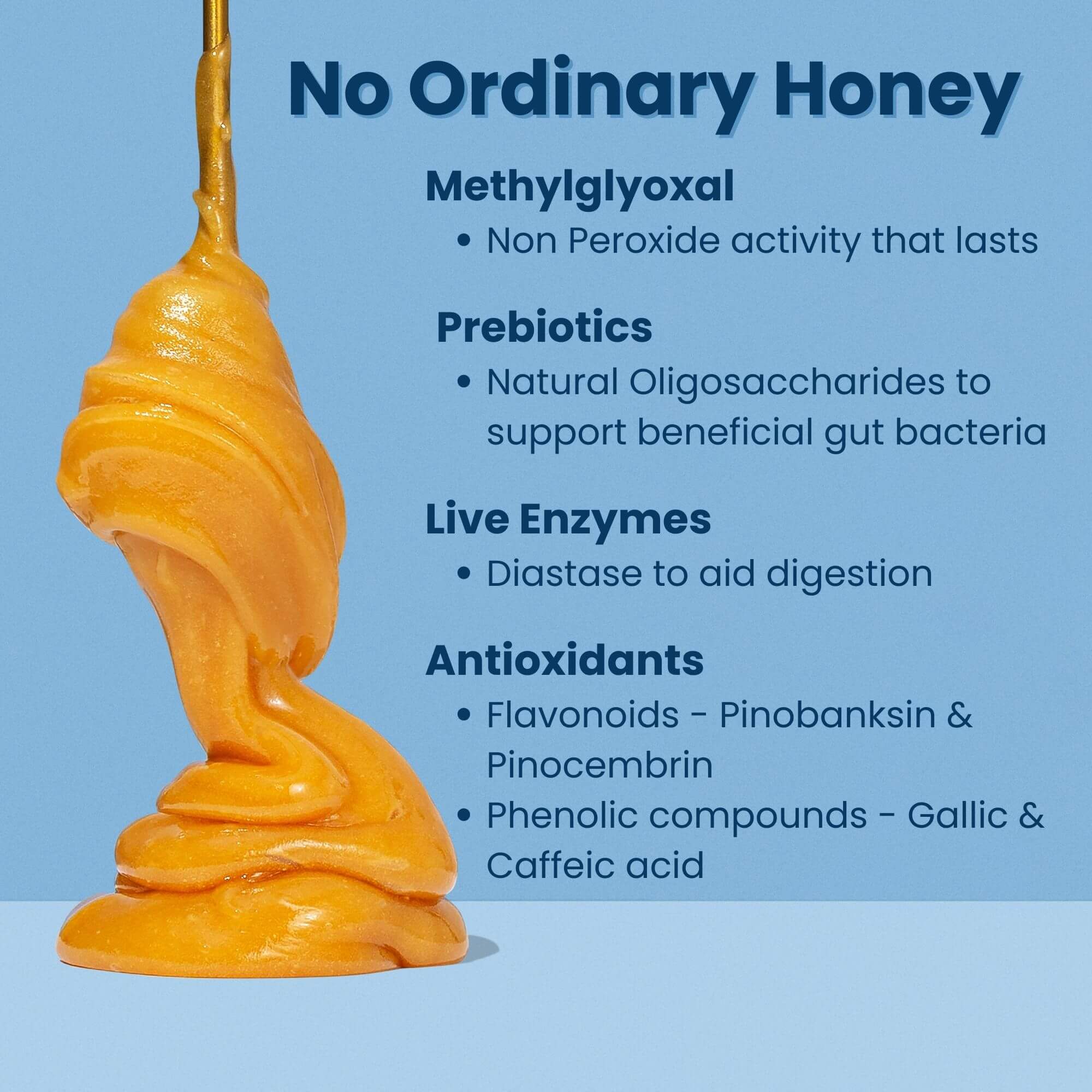 MGO 300+ NZ Raw Manuka Honey - Tulen, Disahkan, GMO &amp; Tanpa Semburan (500g/17.6oz)