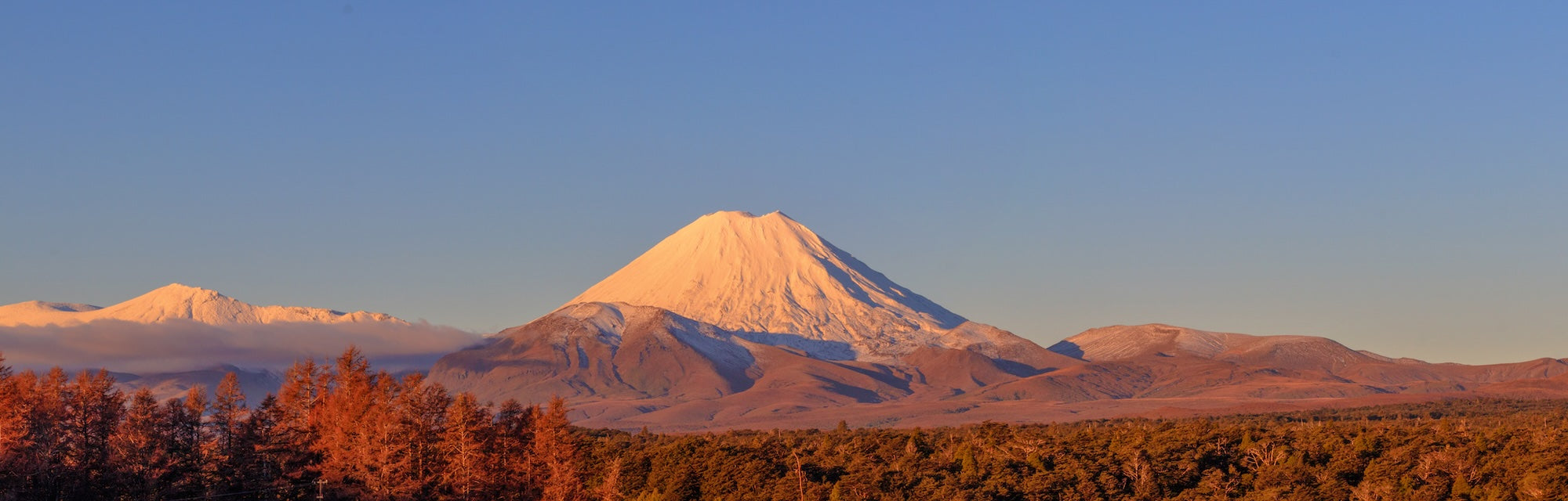 Snow-capped mount Ngauruhoe with a clear blue sky and trees in the foreground.